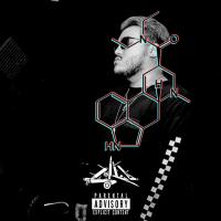 Artwork for Bullets Dipped In Lsd by Satori Roshi
