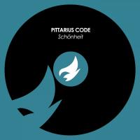 Artwork for Schönheit (Extended Mix) by PITTARIUS CODE