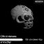 Artwork for 19 Circles (Original Mix)