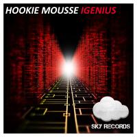 Artwork for Igenius by Hookie Mousse