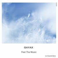 Artwork for Feel The Music by Gayax