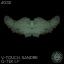 Artwork for Q Tek (Asparuh Remix)