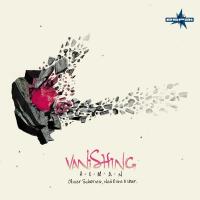 Artwork for Vanishing by Himan