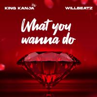 Artwork for What You Wanna Do by King Kanja