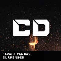 Artwork for Surrender by Savage Pandas