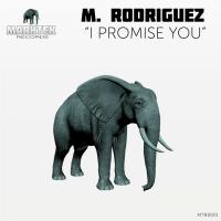 Artwork for I Promise You by M. Rodriguez