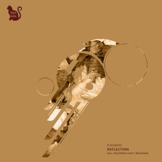 Artwork for Reflections