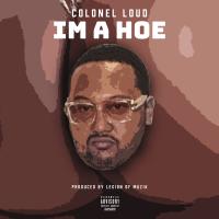 Artwork for Im A Hoe by Colonel Loud