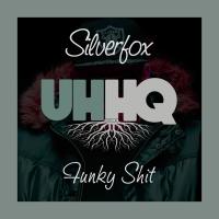 Artwork for Funky Shit by Silverfox