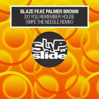 Artwork for Do You Remember House? (feat. Palmer Brown) [Wipe the Needle Remixes] by Blaze