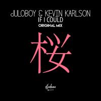 Artwork for If I Could by Juloboy