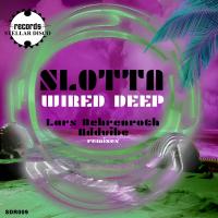 Artwork for Wired Deep by Slotta