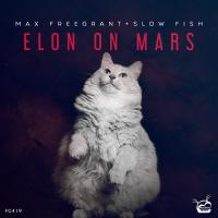 Artwork for Elon On Mars by Max Freegrant