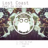 Artwork for Feel So High EP by Lost Coast