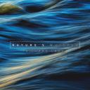 Artwork for Flight Lines 9 (Sting)