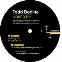 Artwork for Spring by Todd Bodine