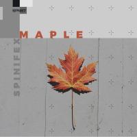 Artwork for Maple by Various Artists