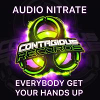 Artwork for Everybody Get Your Hands Up by Audio Nitrate