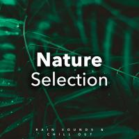 Artwork for Nature Selection by Nature Sounds Nature Music