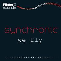 Artwork for We Fly by Synchronic