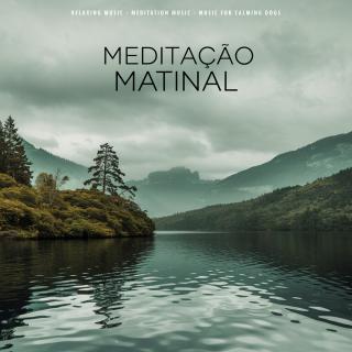 Artwork for Meditaçāo Matinal
