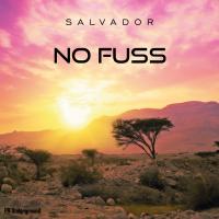 Artwork for Salvador by No Fuss