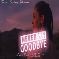 Artwork for Never Say Goodbye (Dave Rose Remix) by DJ Tusso