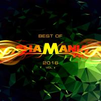 Artwork for Best Of Shamania Pro 2016, Vol. 2 by Various Artists