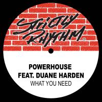 Artwork for What You Need (feat. Duane Harden) by Powerhouse