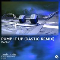 Artwork for Pump It Up (Dastic Remix) by Danko