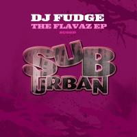 Artwork for The Flavaz EP by DJ Fudge