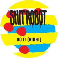 Artwork for Do It (Right) by Shit Robot