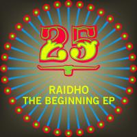 Artwork for The Beginning EP by Raidho