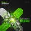 Artwork for Ascension (Original Mix)