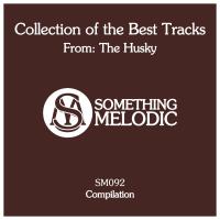 Artwork for Collection of the Best Tracks From: The Husky by The Husky