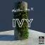 Artwork for Ivy (feat. Yung TK)