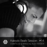 Artwork for Kaleydo Beats Session #14 by Various Artists