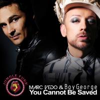 Artwork for You Cannot Be Saved by Marc Vedo