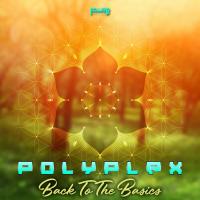 Artwork for Back to the Basics by Polyplex