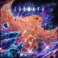 Artwork for Loveology by Suduaya