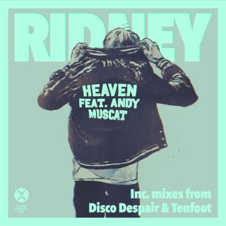 Artwork for Heaven (Tenfoot Vocal Remix)
