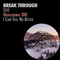 Artwork for I Can't Feel No Better by Guillermo DR