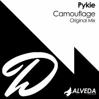 Artwork for Camouflage by Pykie