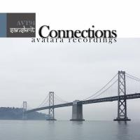 Artwork for Connections by Sanskrit