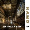 Artwork for The World Is Yours