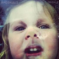 Birdskulls