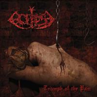 Artwork for Triumph of the Pain by Eclipse