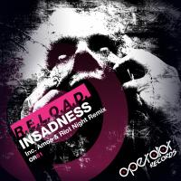 Artwork for Insadness by R.E.L.O.A.D.