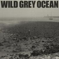 Artwork for Wild Grey Ocean by Sam Fender