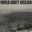 Artwork for Wild Grey Ocean